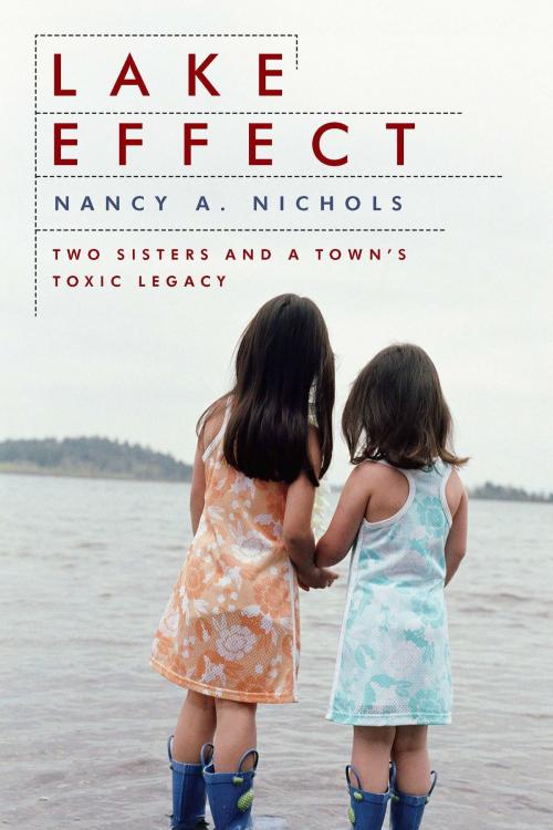 Cover of the book Lake Effect by Nancy A. Nichols, Island Press