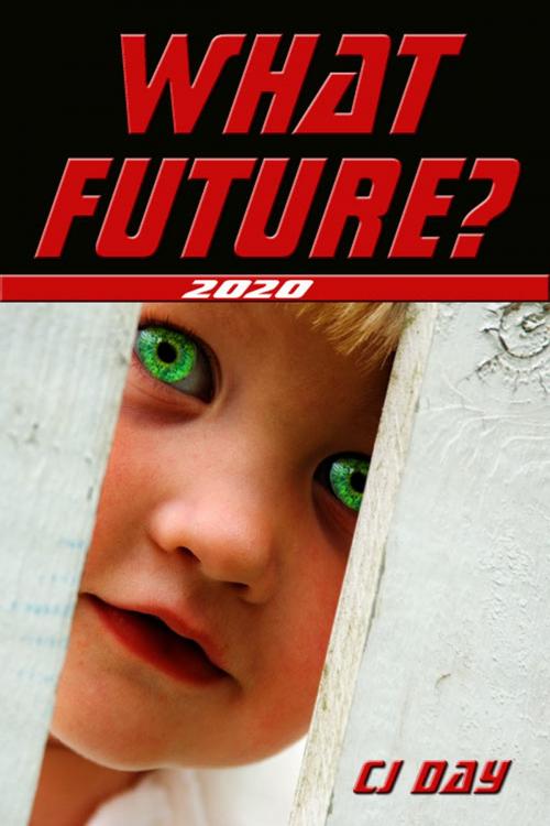 Cover of the book What Future? by CJ Day, CJ Day