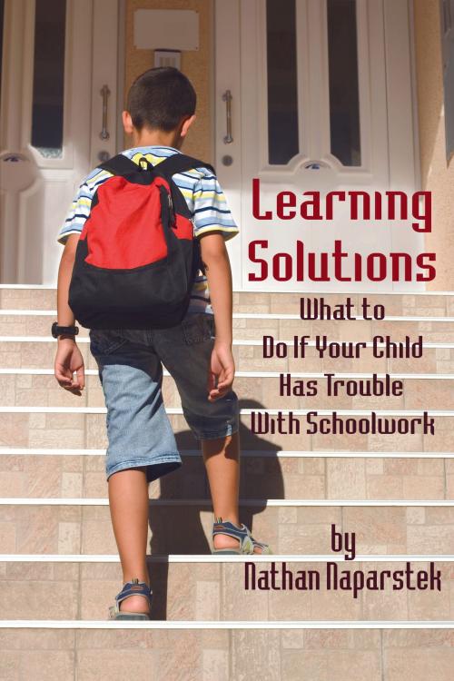 Cover of the book Learning Solutions by Nathan Naparstek, Information Age Publishing