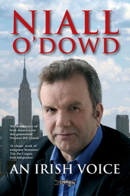Cover of the book An Irish Voice by Niall O'Dowd, The O'Brien Press