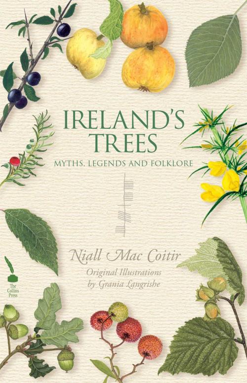 Cover of the book Ireland's Trees – Myths, Legends & Folklore by Niall Mac Coitir, The Collins Press