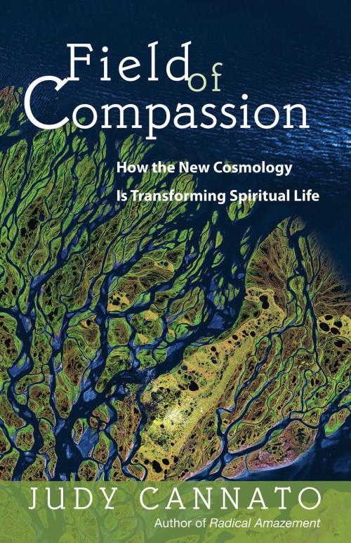 Cover of the book Field of Compassion by Judy Cannato, Ave Maria Press