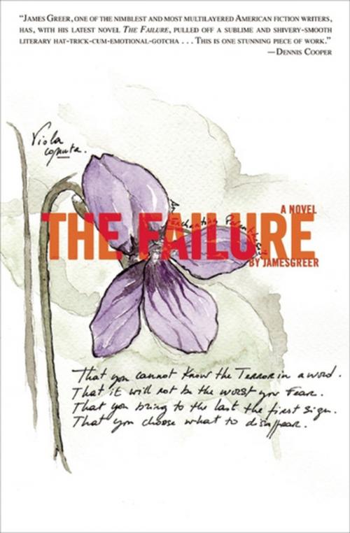 Cover of the book The Failure by James Greer, Akashic Books (Ignition)