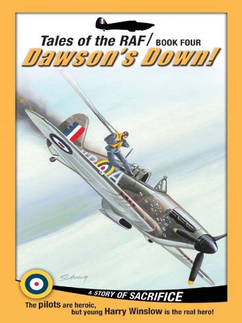Cover of the book Tales of the RAF: Dawson's Down! by Don Patterson, Rising Star Studios, LLC.
