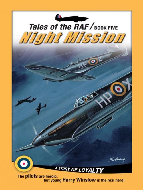 Cover of the book Tales of the RAF: Night Mission by Don Patterson, Rising Star Studios, LLC.