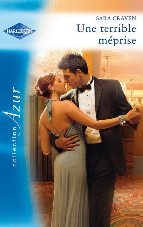Cover of the book Une terrible méprise by Sara Craven, Harlequin