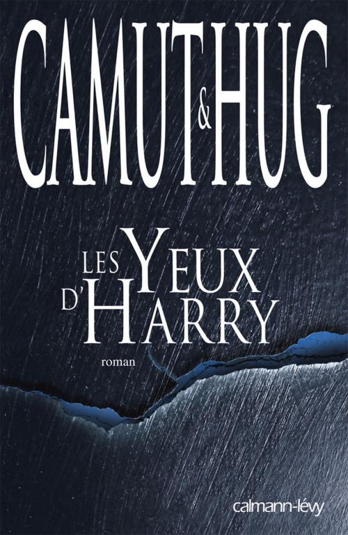 Cover of the book Les yeux d'Harry by Nathalie Hug, Jérôme Camut, Calmann-Lévy
