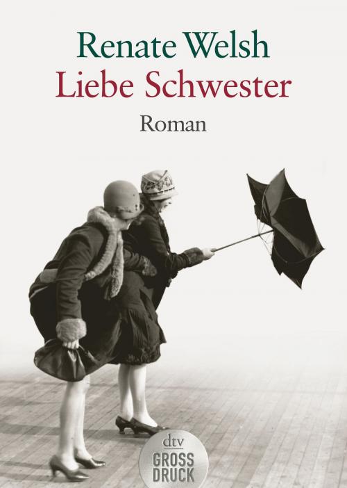 Cover of the book Liebe Schwester by Renate Welsh, dtv Verlagsgesellschaft mbH & Co. KG