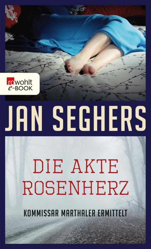Cover of the book Die Akte Rosenherz by Jan Seghers, Rowohlt E-Book