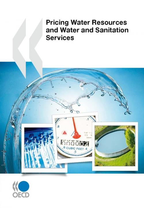 Cover of the book Pricing Water Resources and Water and Sanitation Services by Collective, OECD