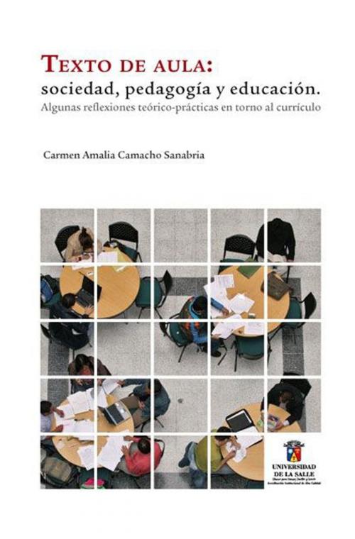 Cover of the book Texto de aula by Carmen Amalia Camacho Sanabria, Universidad de La Salle