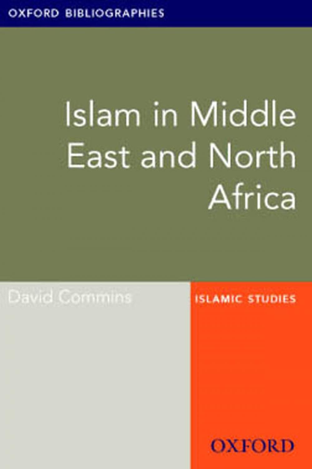 Big bigCover of Islam in Middle East and North Africa: Oxford Bibliographies Online Research Guide