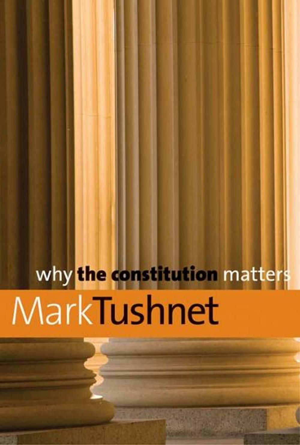Big bigCover of Why the Constitution Matters