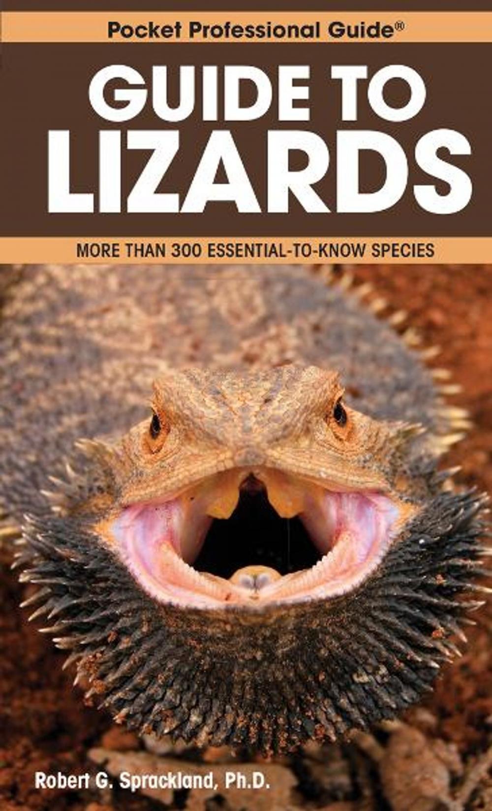 Big bigCover of Guide to Lizards