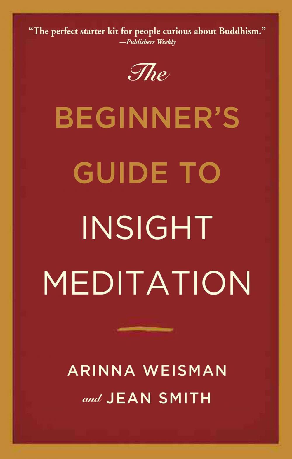 Big bigCover of The Beginner's Guide to Insight Meditation