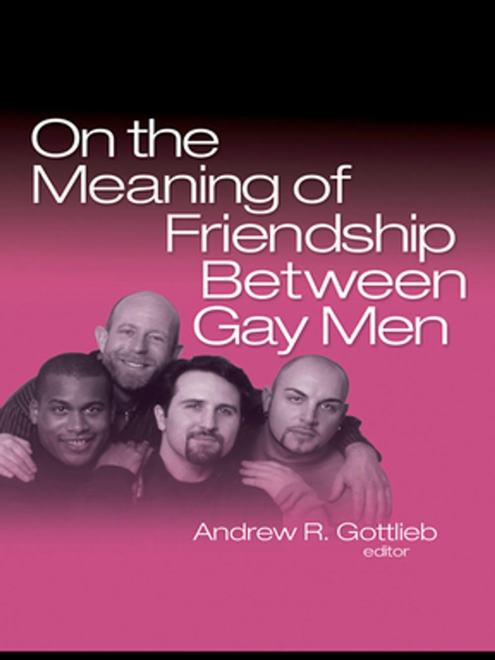 Big bigCover of On the Meaning of Friendship Between Gay Men