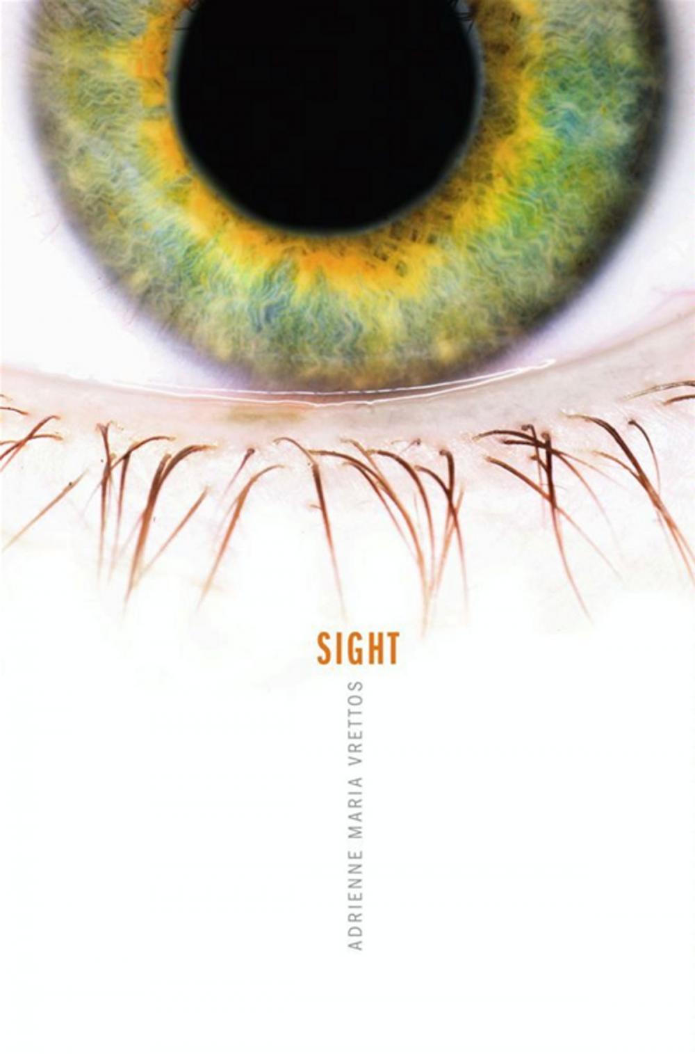 Big bigCover of Sight