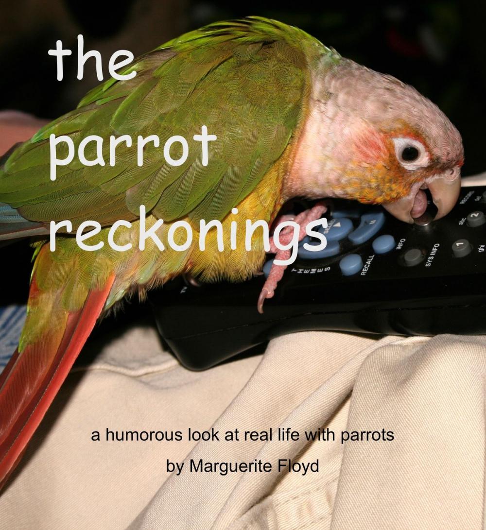Big bigCover of The Parrot Reckonings