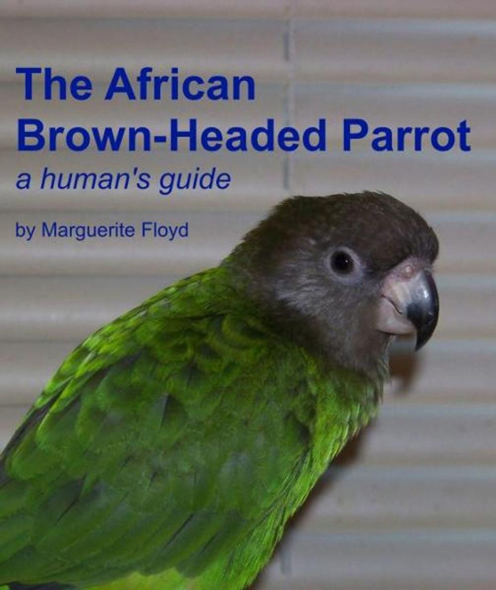 Big bigCover of African Brown-Headed Parrot: A Human's Guide