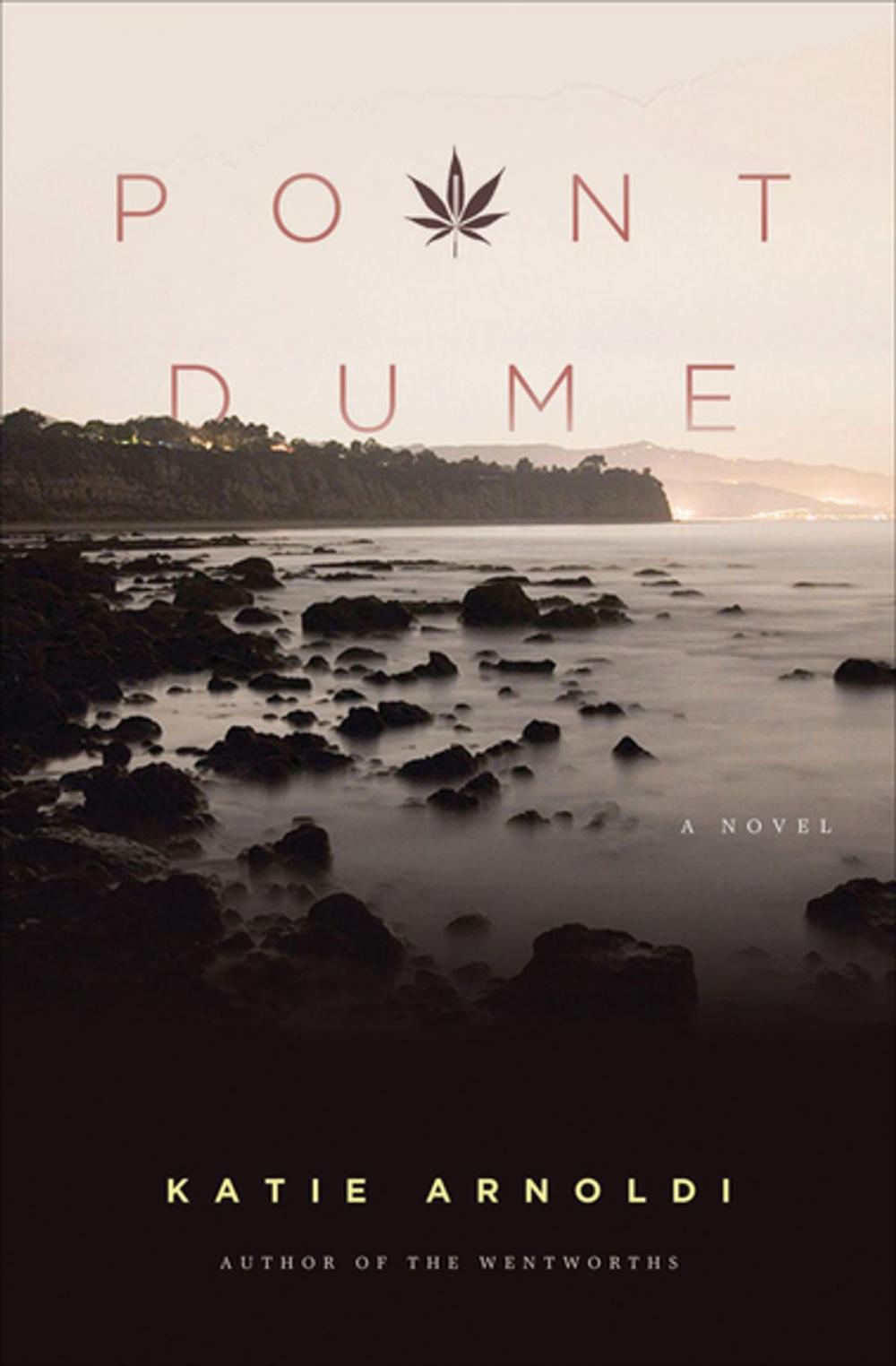 Big bigCover of Point Dume