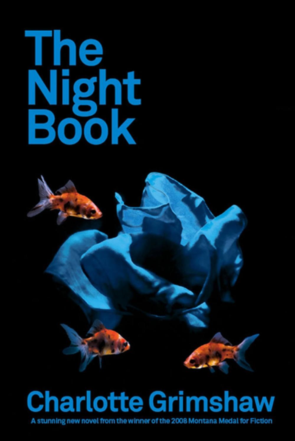 Big bigCover of The Night Book