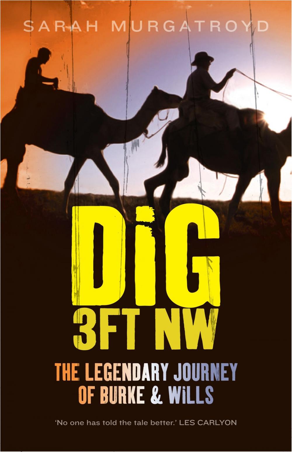 Big bigCover of Dig 3ft NW