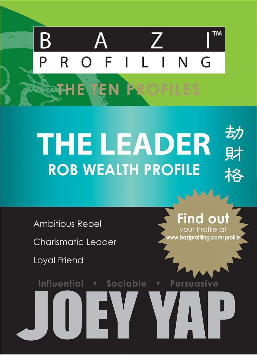 Big bigCover of The Ten Profiles - The Leader (Rob Wealth Profile)