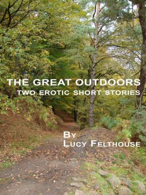Book cover of The Great Outdoors