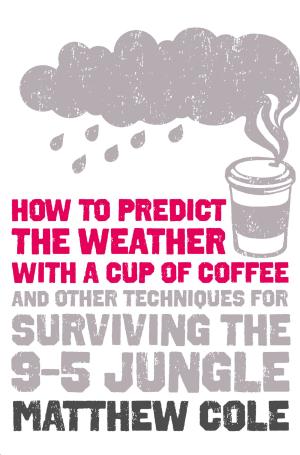 bigCover of the book How to predict the weather with a cup of coffee: And other techniques for surviving the 9–5 jungle by 