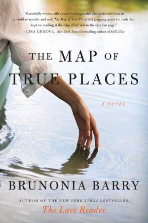 bigCover of the book The Map of True Places by 