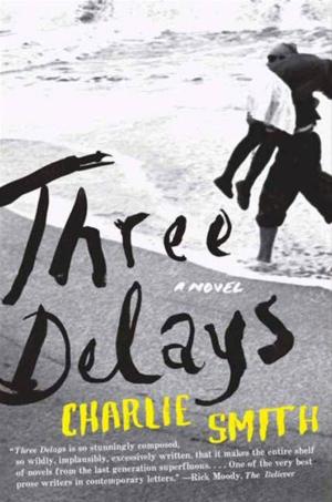 Book cover of Three Delays