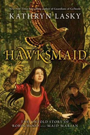 Book cover of Hawksmaid