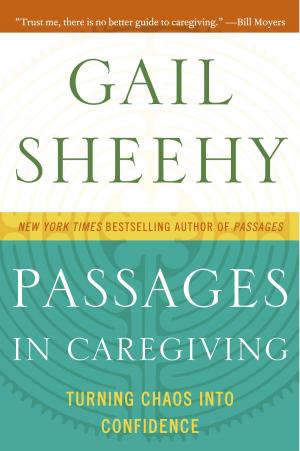 Book cover of Passages in Caregiving