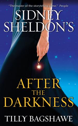 bigCover of the book Sidney Sheldon's After the Darkness by 