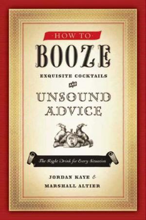 Cover of the book How to Booze by Barbara Mertz