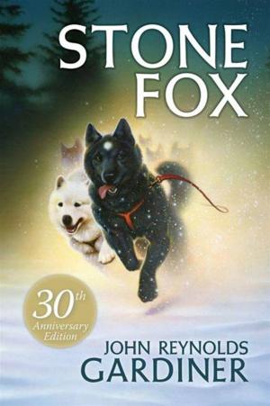Book cover of Stone Fox