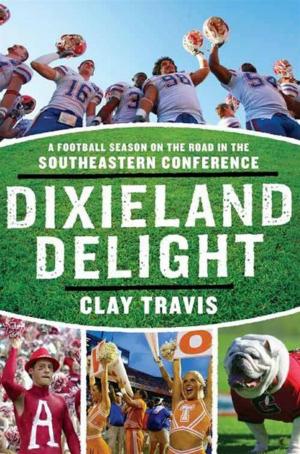 Cover of the book Dixieland Delight by Dave Case