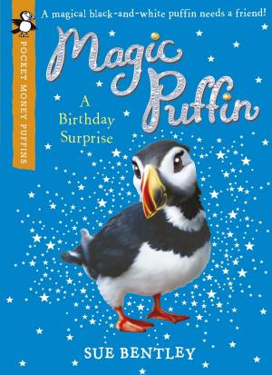 Cover of the book Magic Puffin: A Birthday Surprise (Pocket Money Puffin) by James Belich
