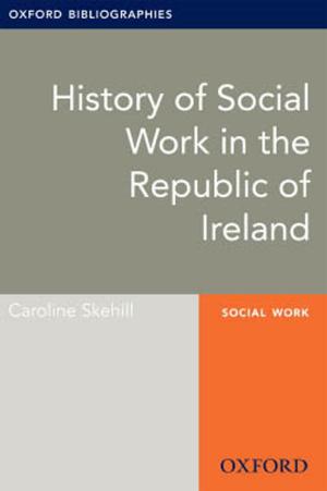 Book cover of History of Social Work in the Republic of Ireland: Oxford Bibliographies Online Research Guide