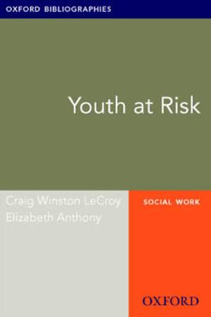 Book cover of Youth at Risk: Oxford Bibliographies Online Research Guide