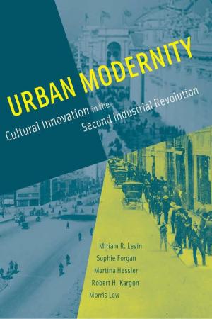 Cover of Urban Modernity: Cultural Innovation in the Second Industrial Revolution