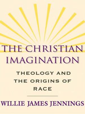 Book cover of The Christian Imagination: Theology and the Origins of Race