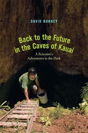 bigCover of the book Back to the Future in the Caves of Kauai: A Scientist's Adventures in the Dark by 