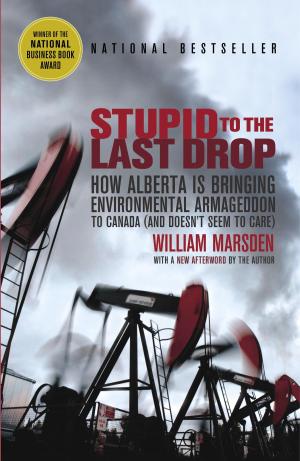Cover of the book Stupid to the Last Drop by Michel Basilieres