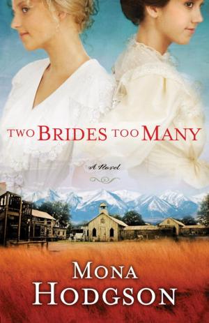 Cover of the book Two Brides Too Many by Stu Weber