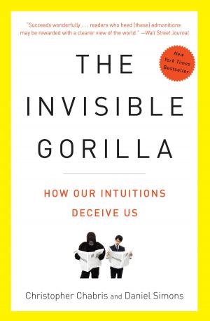 Cover of the book The Invisible Gorilla by Carolin Schade