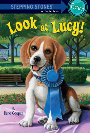 Book cover of Absolutely Lucy #3: Look at Lucy!