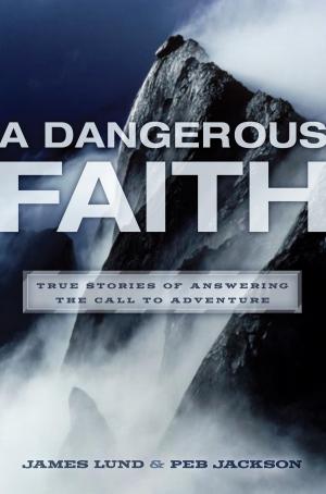 Book cover of A Dangerous Faith