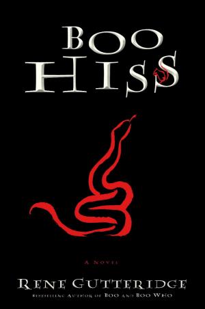 Cover of the book Boo Hiss by David Steindl-Rast