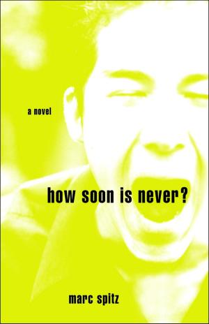 Cover of the book How Soon Is Never? by L. A. Hall